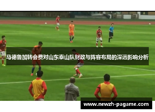 马德鲁加转会费对山东泰山队财政与阵容布局的深远影响分析 马德鲁加转会费对山东泰山队财政与阵容布局的深远影响分析